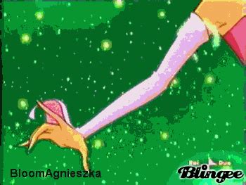 winx xxx|winx videos